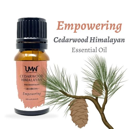 Urban Medicine Woman - Cedarwood Essential Oil